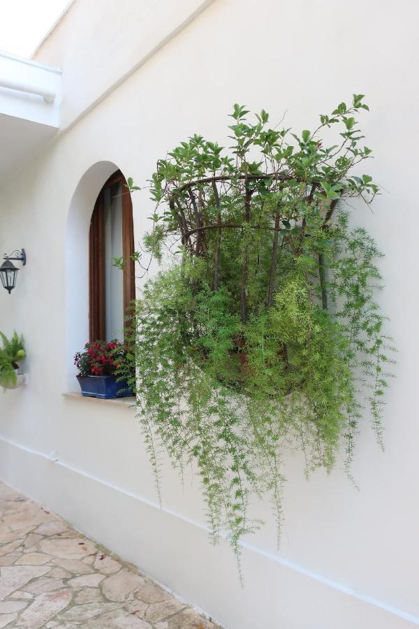 Vila Il Trullo Del Cadetto Francavilla Fontana Exteriér fotografie