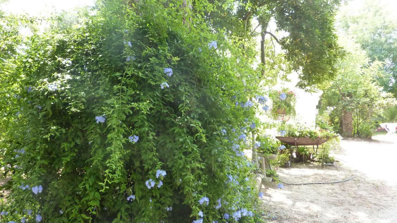 Vila Il Trullo Del Cadetto Francavilla Fontana Exteriér fotografie