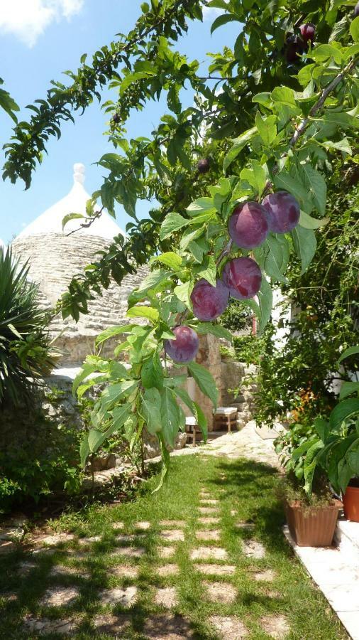Vila Il Trullo Del Cadetto Francavilla Fontana Exteriér fotografie